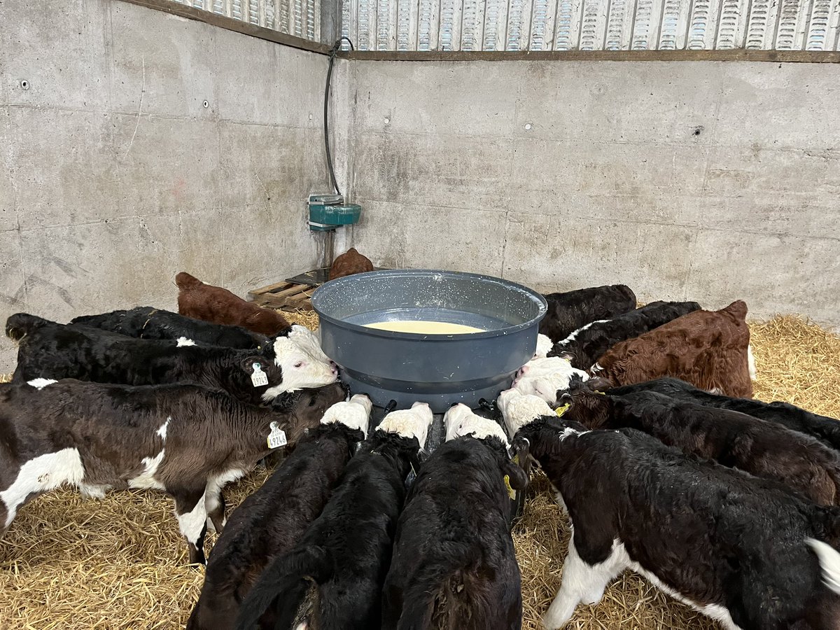 Paul Hyland 🐄 tweet media