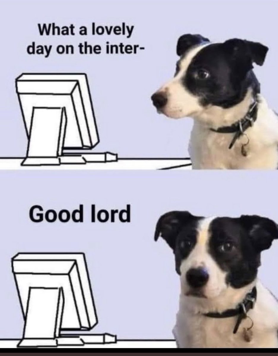 robwilliams433's tweet photo. @fesshole My god - time to share this meme again 🤣 https://t.co/Imgeq4Ch4l