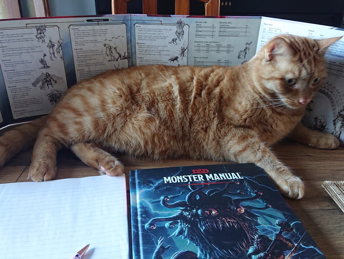 zoople's tweet image. Wanna play d&amp;amp;d? Roll for cat!