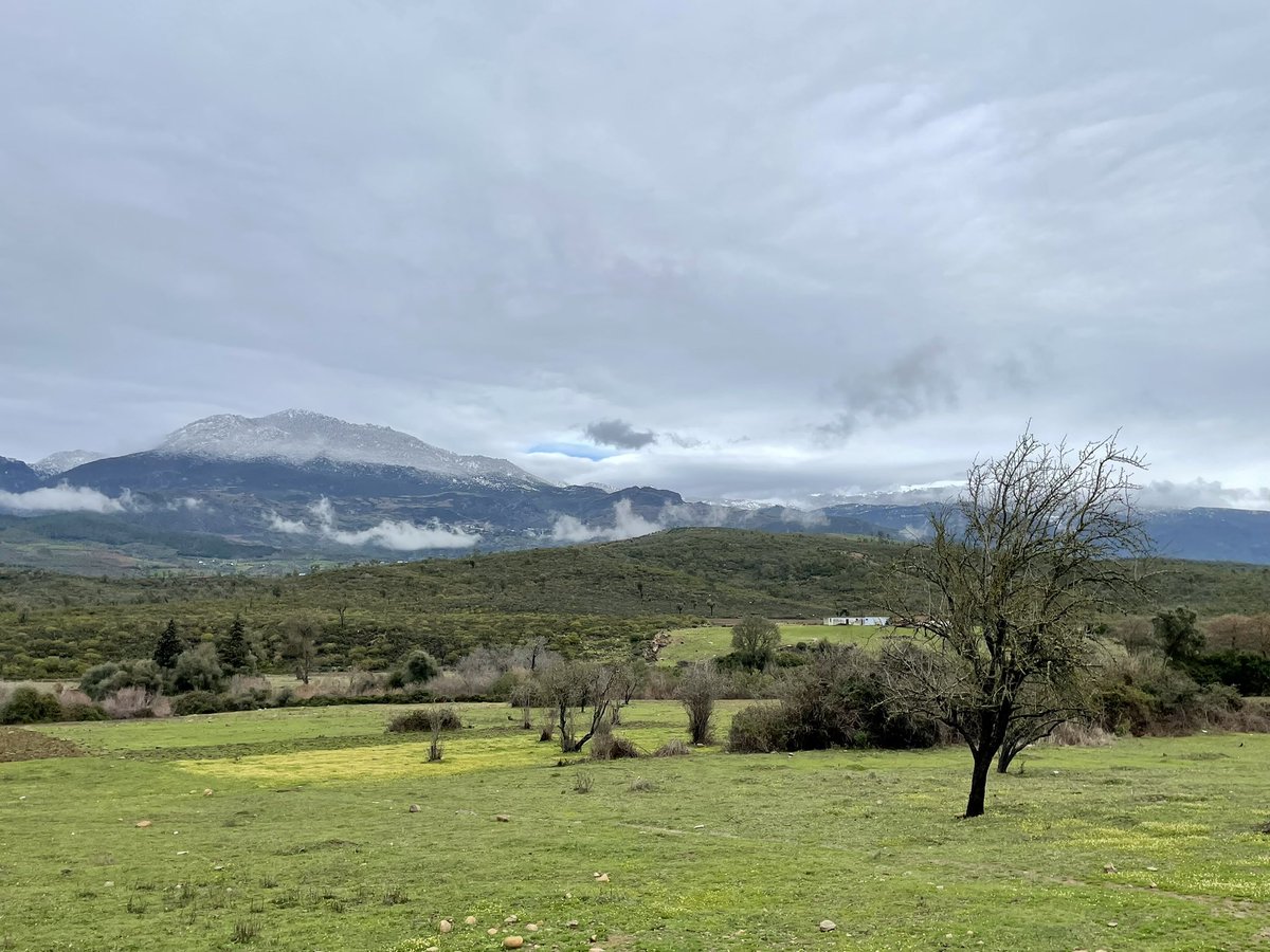 jrambaud's tweet photo. #FelizDomingo El #Rif en su mejor Cara con #nieve #Jebel #Tissouka 2117 y #Jbel #Lakraa o #Khmes 2152 m ( altitudes varían según fuente) #Marruecos #Maroc #Morocco #meteo #weather #mountain #snow https://t.co/kXZaALlyez