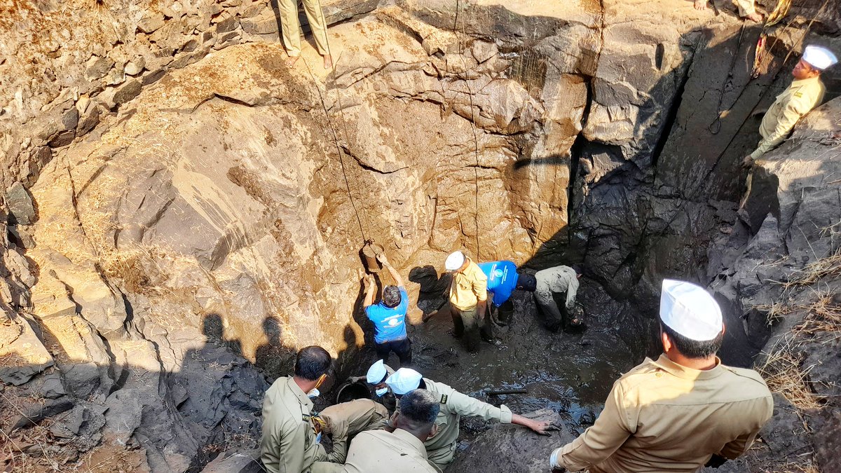 bhagwaraghu's tweet image. Clean water, clean mind campaign
Cleanliness of watercourses

@santnirankari @sncfoundation 
#ProjectAmrit 
#Swachhjalswachhmann 
#azadikaamritmahotsav 
#ServiceWithHumility 
#Maharashtra