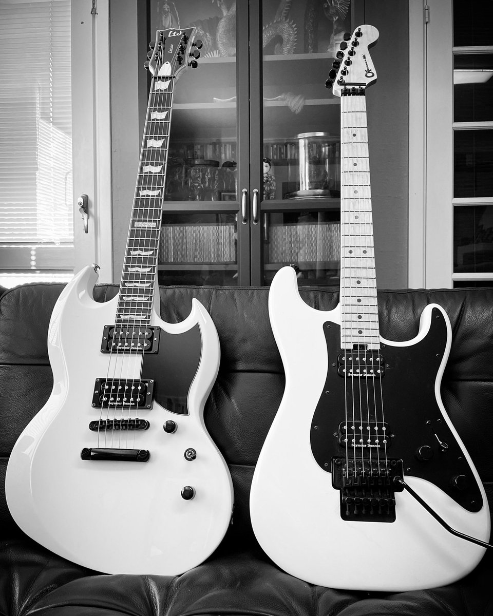 My two #guitars that sums me all up. #JakeELee #GeorgeLynch #AdrianSmith #TonyIommi +others. #espguitars #ltdviper #ltdguitars #ltdviper1000 #ltdviperdeluxe #charvelguitars #charveljackson #charvelpromod #charvelsocal #floydrose #seymourduncan #ghsstrings #PMSaari #SaariCustom