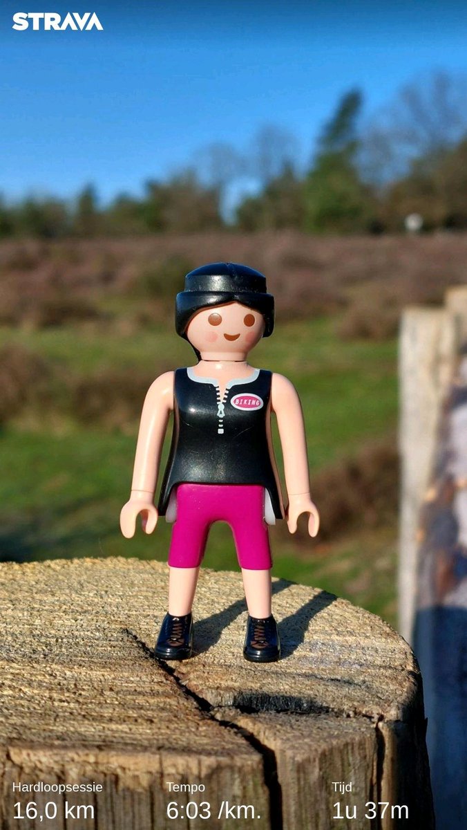 herfst kind ♏ tweet media