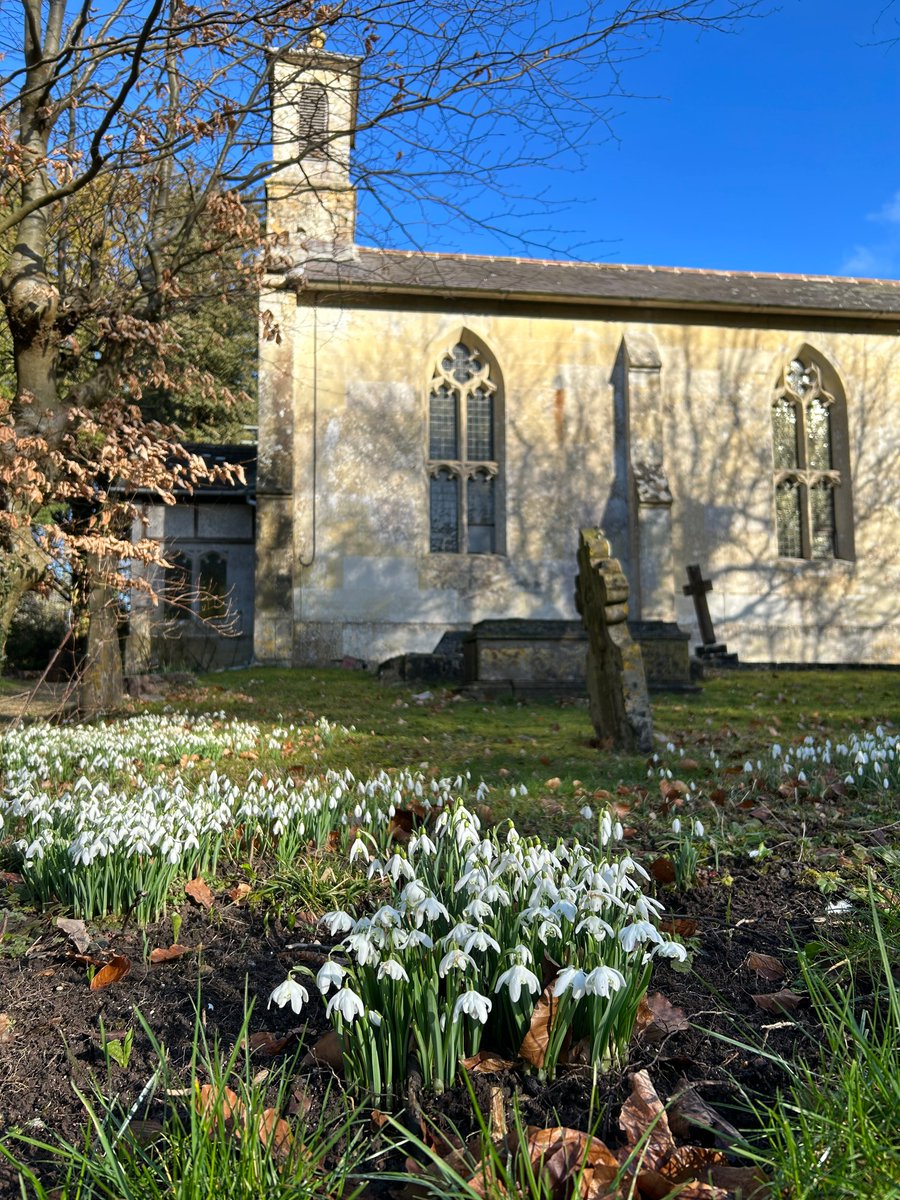 PollardHelen's tweet photo. Don't have to travel far to see a great display of #snowdrops.  These are right next door at Chicklade Church
https://t.co/yrt07uL1Pb
#SpringBreak2023 #Springbreak #Wiltshire #Springflowers https://t.co/6Y0UNLR3Vm