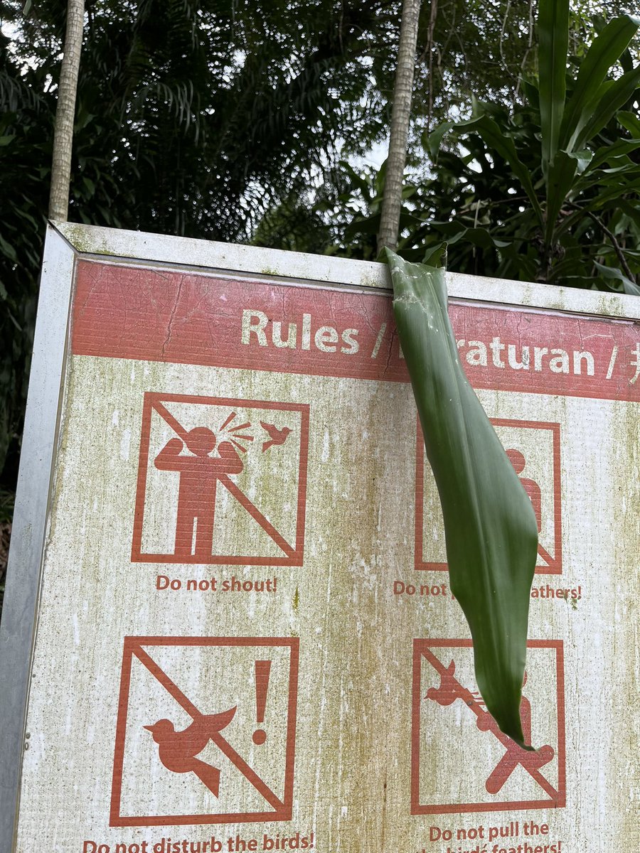 Finally found the Twitter rule book