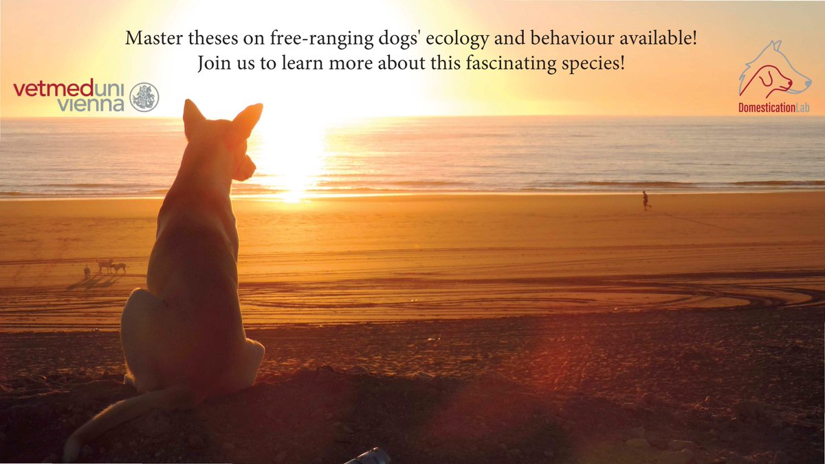 Animal behavior opportunities (@AnimalOpps) / Twitter Animal behavior opportunities (@AnimalOpps) / Twitter