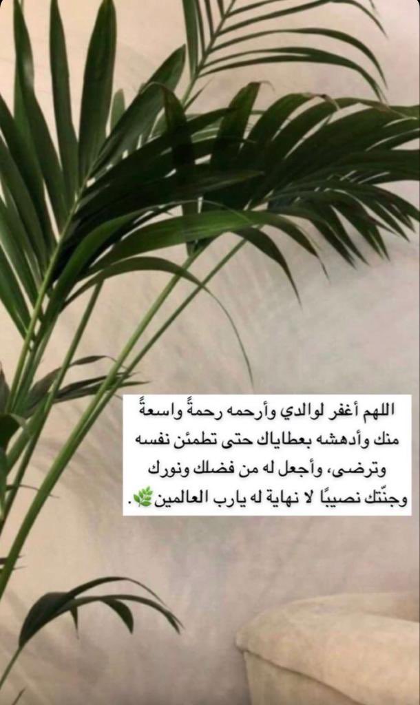 احمد صحفان tweet media