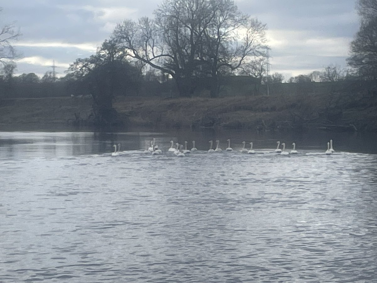 the3dge0fSan1ty's tweet image. Bit chilly yesterday but still a cracking day for some #PaddleBoarding on the River Isla. 
#supping
#PerthAndKinross 
#VisitScotland