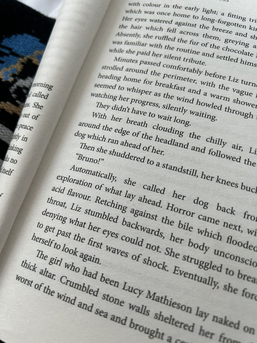 Just started reading <a href="/LJRossAuthor/">L J Ross</a> books, kicking off with Holy Island. 
She’s an incredible success story of self-publishing &amp; with north east roots like me, a huge inspiration.

Waiting to head across to Wembley now and this has to be a sign……..

Hopefully the 🇧🇷 one!!
#NUFC