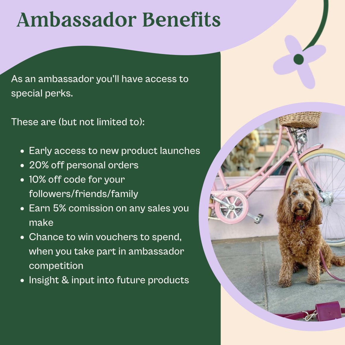 tailsandbloom's tweet photo. ๐จ CALLING ALL CUTE DOGGIES ๐จ Have you ever wanted to become a model/ brand ambassador for a trendy dog brand? Now you can! Head to our Instagram (@tailsandbloom) and follow the instructions to apply! RT to tell your friends ๐ถ #dogmodelswanted #dogsoftwitter #dogswanted #ukdogs https://t.co/Ea5kLoLi58