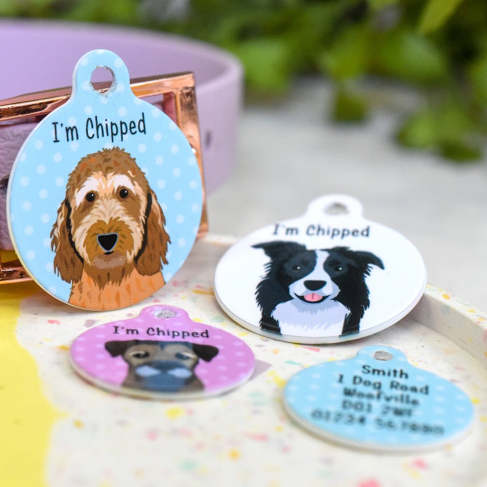 🐶💕The CUTEST pet tags on the internet! 🐶💕Over 170 different Dog Breed illustrations available with FREE UK delivery + we ship worldwide! 

➡️➡️ hoobynoo.co.uk

#DogsOfTwitter #DogBreeds #WoofWoofWednesday #DogLovers