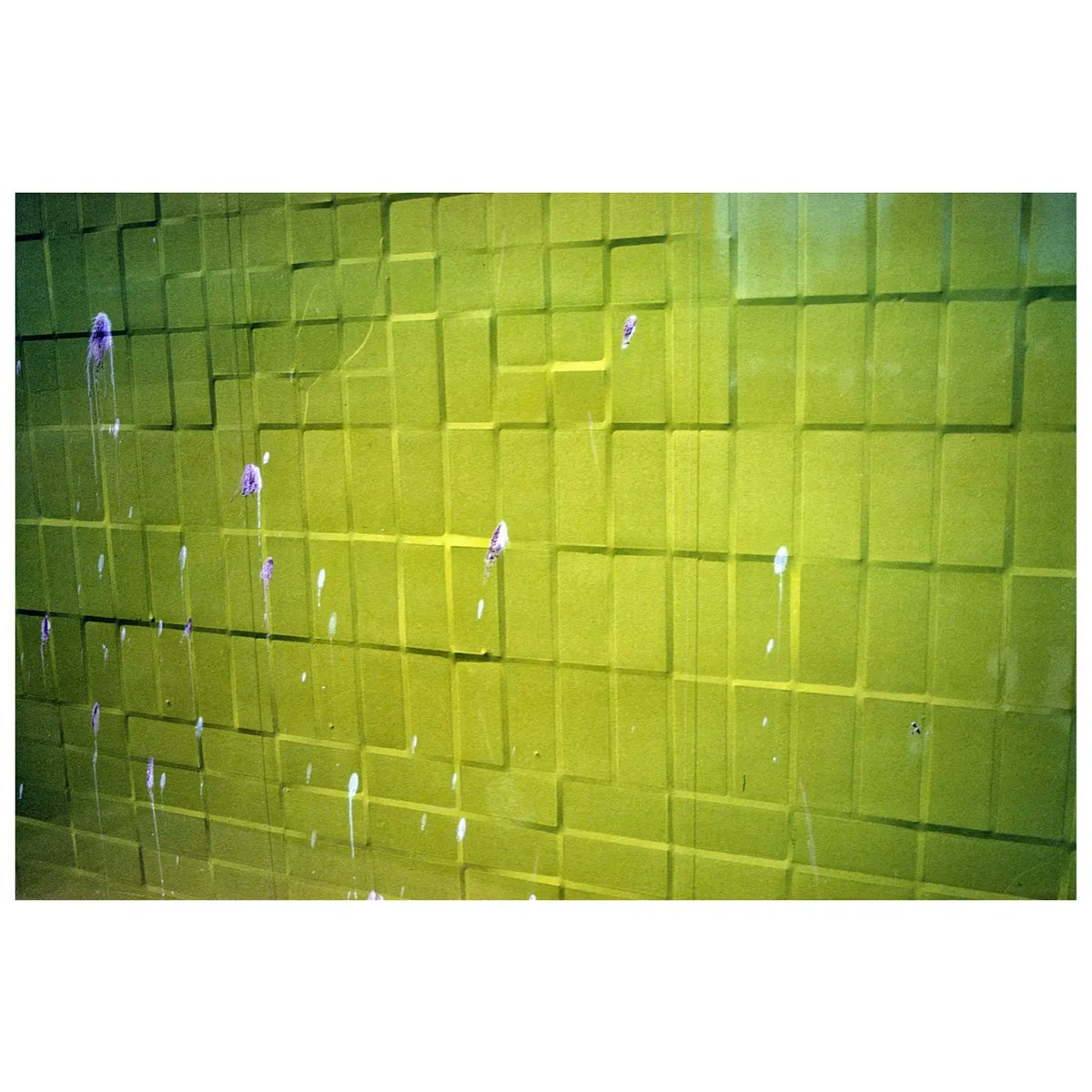 JoshMoonPhoto's tweet photo. Slide film shot in Bridlington UK https://t.co/eK2NBgV0m7