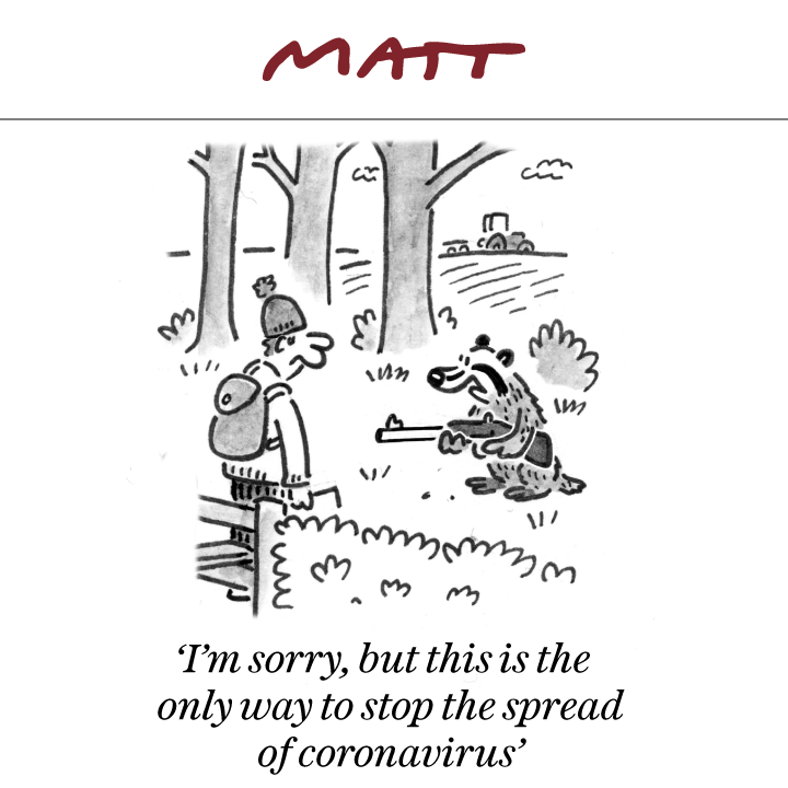 This has to be my favourite from Matt, it hits the bullseye on humans and their superior attitude to #animals, esp' #WildLife 😆💚 #cartoons #badgers #SundayFunday #BadgerCull 🦡