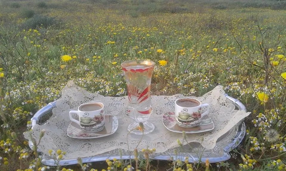 يا راعي الكيف لاسويت فنجاله
احرص على صبته للكيف نقادي
ثم قدمه للكريم وعمدة الحاله 
يستاهله من يمينك يابن الأجوادي
 
شيخ المراجل سعود المزح يزهاله
دايم محله يشابه صبح الأعيادي
للضيف يضحك ودايم منشرح باله
<a href="/muath_aljmaz/">معاذ الجماز</a> 
#صباح_الخيرᅠ 
#صباح_الحُب 
#صباح_الخير_والسعاده