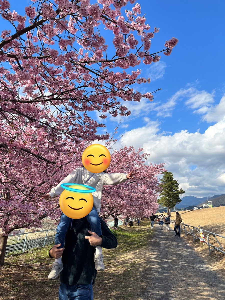collectwan's tweet photo. この休みで河津桜を見にいってきました😊
気候もよいし、平和過ぎるほど平和

世の中は三日見ぬ間まの桜かな
オンカジ界隈は、日々色んなことが起こるなぁと思いますね

何にせよみなさんご安全に😆😆 https://t.co/reZaHj0TbO