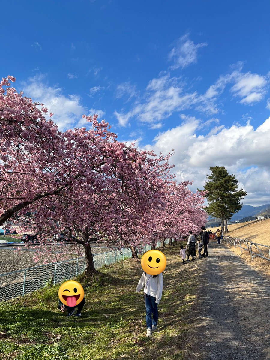 collectwan's tweet photo. この休みで河津桜を見にいってきました😊
気候もよいし、平和過ぎるほど平和

世の中は三日見ぬ間まの桜かな
オンカジ界隈は、日々色んなことが起こるなぁと思いますね

何にせよみなさんご安全に😆😆 https://t.co/reZaHj0TbO