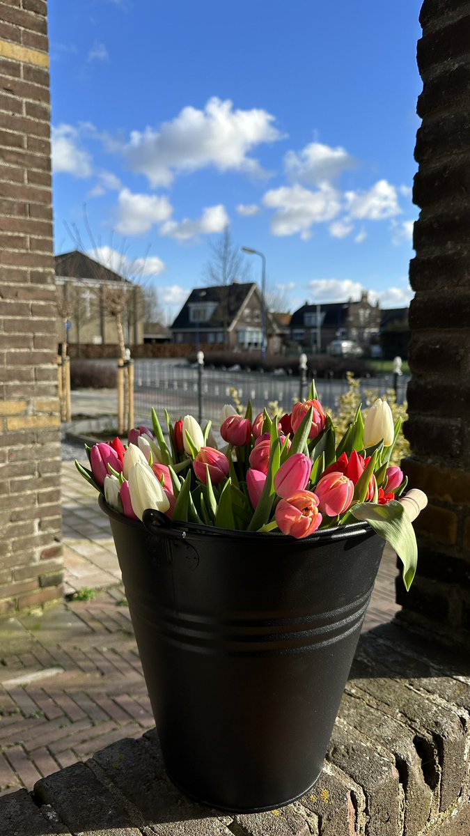 Zin in voorjaar … 

#tulpen #voorjaar