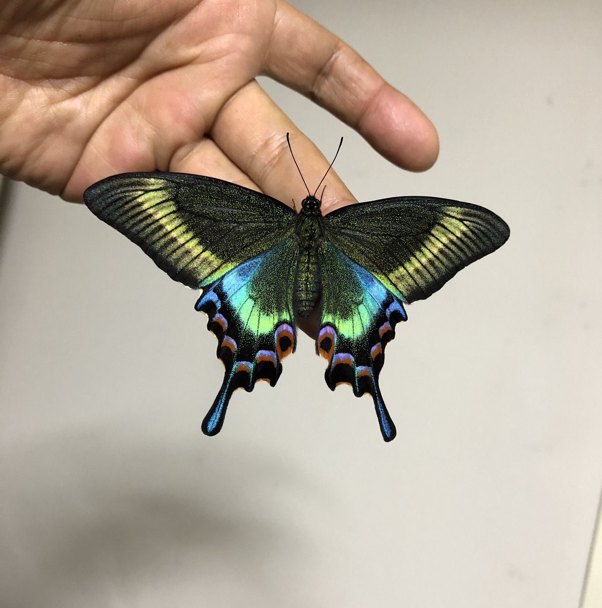 HIGH6ST's tweet image. 