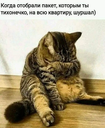 "Хейтер" (@igor14280127) on Twitter photo 