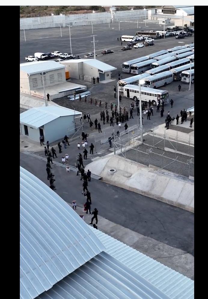 The largest waste of resources and crime against humanity ever seen. End the war on drugs and heal the planet 🌎