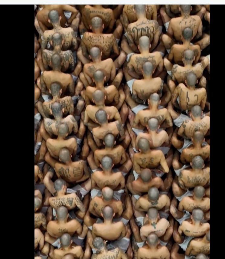 This is the result of the rich and corrupt American and European families war on humans and drugs. The ONLY reason these compounds are illegal under the current structure is so the rich psychopaths in America can inflate the price and take advantage of Americans and these ppl