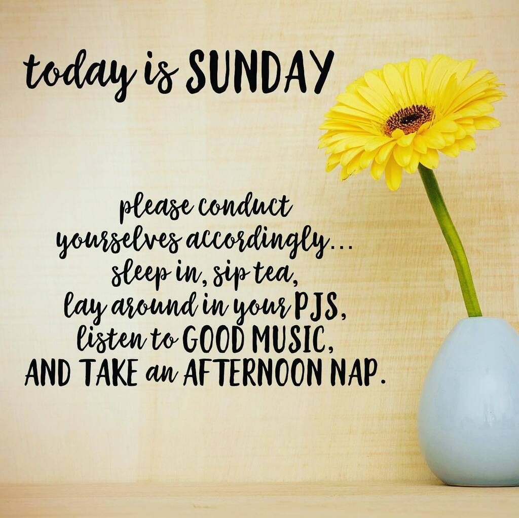 FlyMoon57's tweet image. Happy Sunday everyone! instagr.am/p/CpIZ8V7L30K/