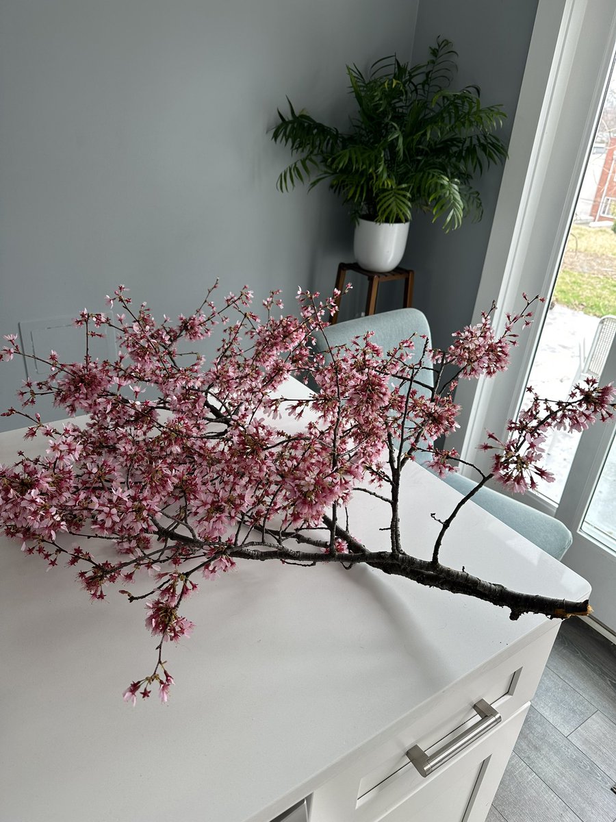 Meredith Moore tweet media