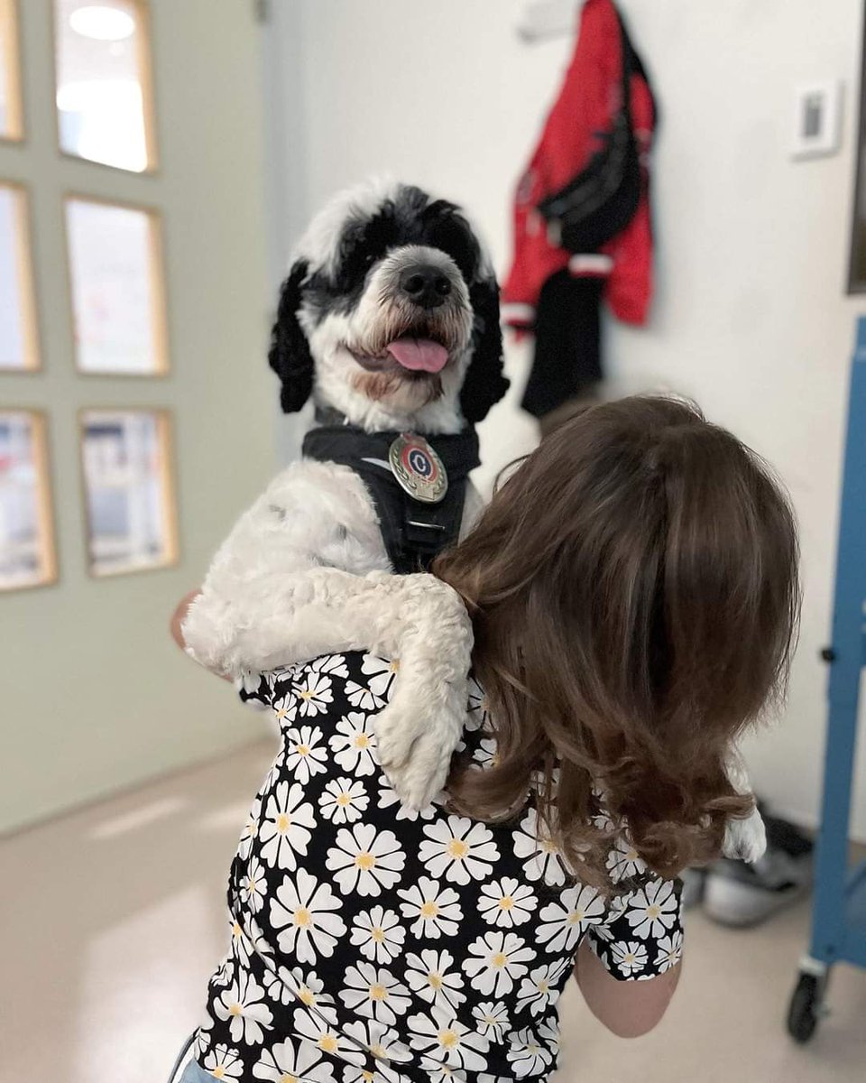 TeamAbigale's tweet photo. The absolute JOY Stella brought Abigale on this day was astronomical!!! It would be so cruel to take this type of happiness away from anyone struggling. We stand &amp; support Krista &amp; Stella 🐾💝  @BeKind4Stella

https://t.co/QU3j1CogeR https://t.co/zjXK5EMMwr