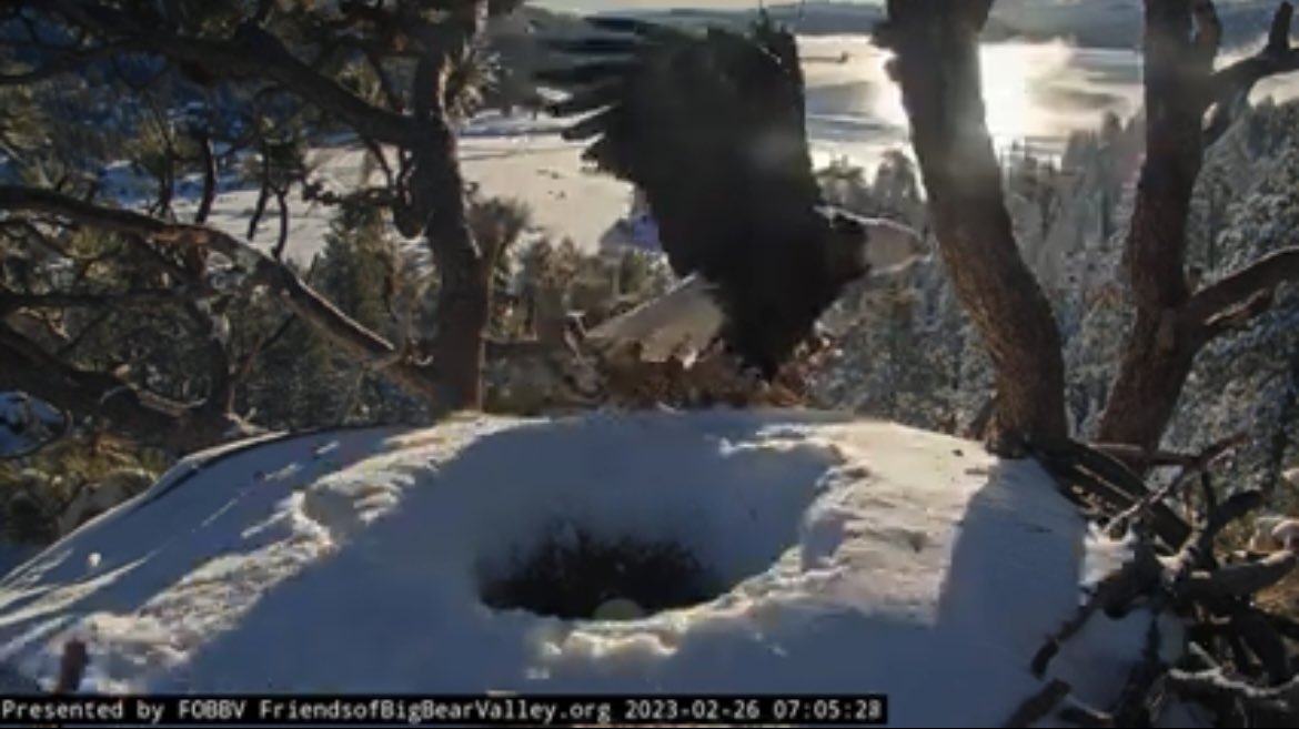 brguest20's tweet image. Good morning!!
#ShiftChange