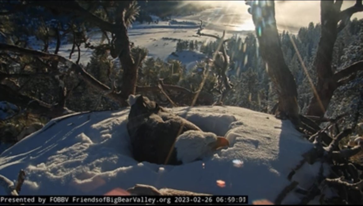 brguest20's tweet image. Good morning!!
#ShiftChange