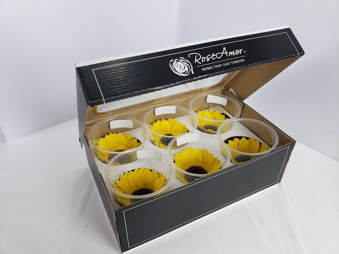 Preserved sunflower heads six in each box etsy.me/3xSVJEP #weddingflowers #mothersday #rose #preservedroses  #preservedflower #foreverrose #preservedroses #ecuadorianroses #foreverroses #mothersdaygiftideas #giftideasformom #sunflowers #preservedsunflowers