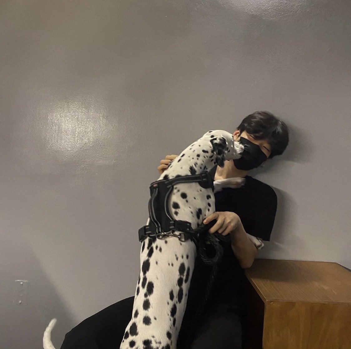S2yoel's tweet photo. 벤 사진 잔뜩 얻었땅 ..... ♡🐾 https://t.co/wsH197BGeu