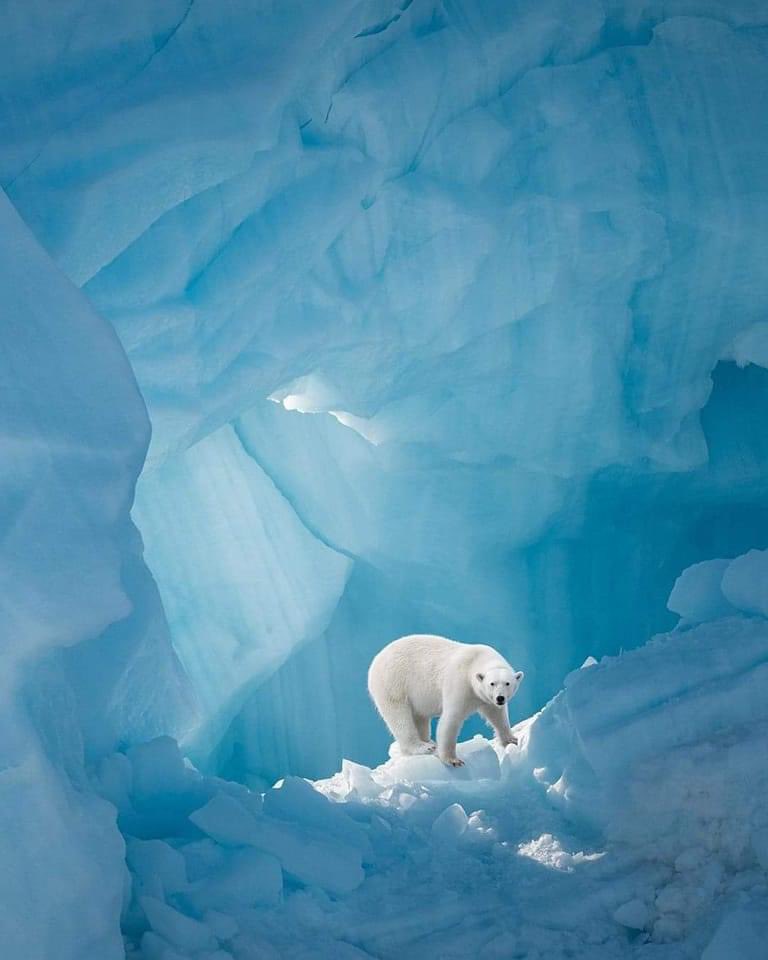 GaelleMogli's tweet photo. @ConnectAID_int @mzjacobson @ChristineMilne @NiliMajumder @AdamRogers2030 @HeinzVHoenen @AkwyZ @elisebuckle @MumClimate @fff_grenoble As temperatures continue to rise, it's becoming more and more clear that #ClimateChange is a real threat and we must take action now to protect our planet.
#ActOnClimate #SavetheEarth #climateaction #connectaid @ConnectAID_int https://t.co/LkV0DcDf5i