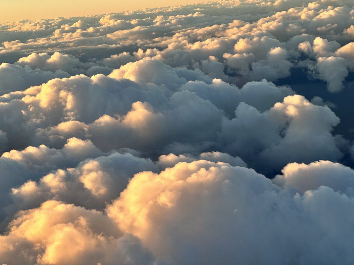 Cassandra Kelly AM tweet media