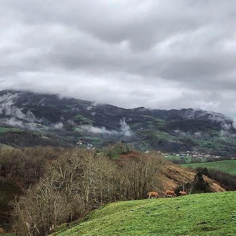 Caminando por el #ValleDeOnis #CangasDeOnis #Asturias , feliz semana para todos 👋