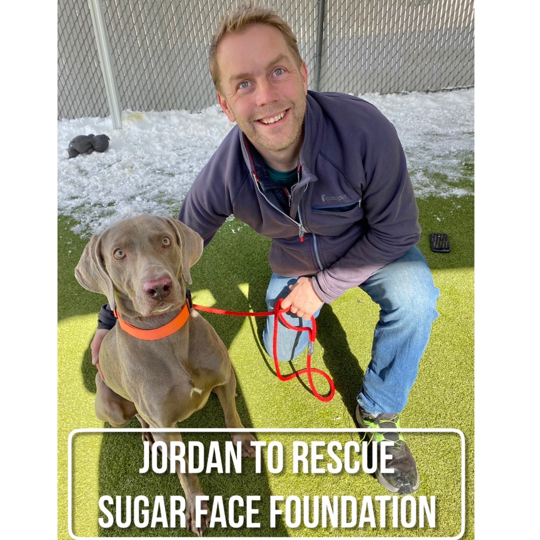 SLCoAnimals's tweet image. Thank you to our rescue partners in #utah Adopt or rescue a pet from your community! #adoptutahpets #slco