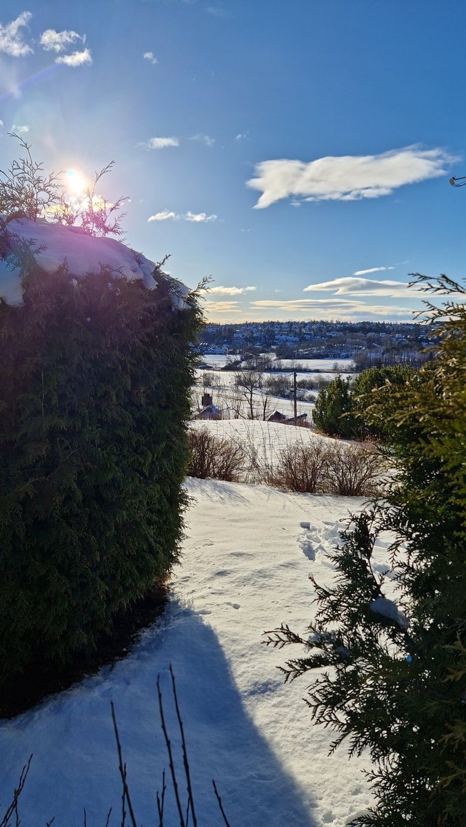 withchristopher's tweet photo. After a long winter, the angle of the sun today only lifts the mood. https://t.co/WysrsxGhqz