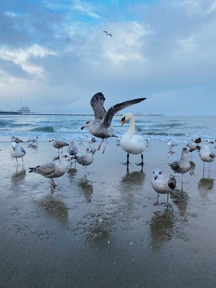 48letters's tweet photo. #GM MY LOVELY #NEAR FROM Baltic sea https://t.co/ohyMb3HNVk