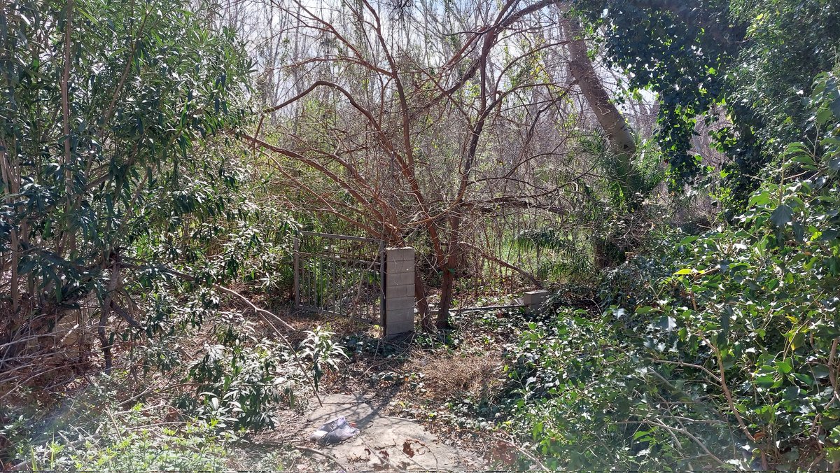 martisoriano's tweet photo. Antic camping de #Tivenys vora l'assut de #Xerta, a tocar del riu #Ebre. Potser fa 25 anys que està tancat. Això és el que queda
#lugaresolvidados
#ghostplaces
@GhostPlaces 
@terresebretur https://t.co/YHRRSe24LP