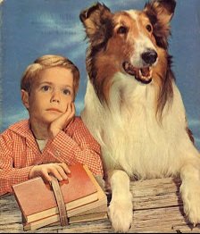 ⚡️Flashback
Wer erinnert sich?