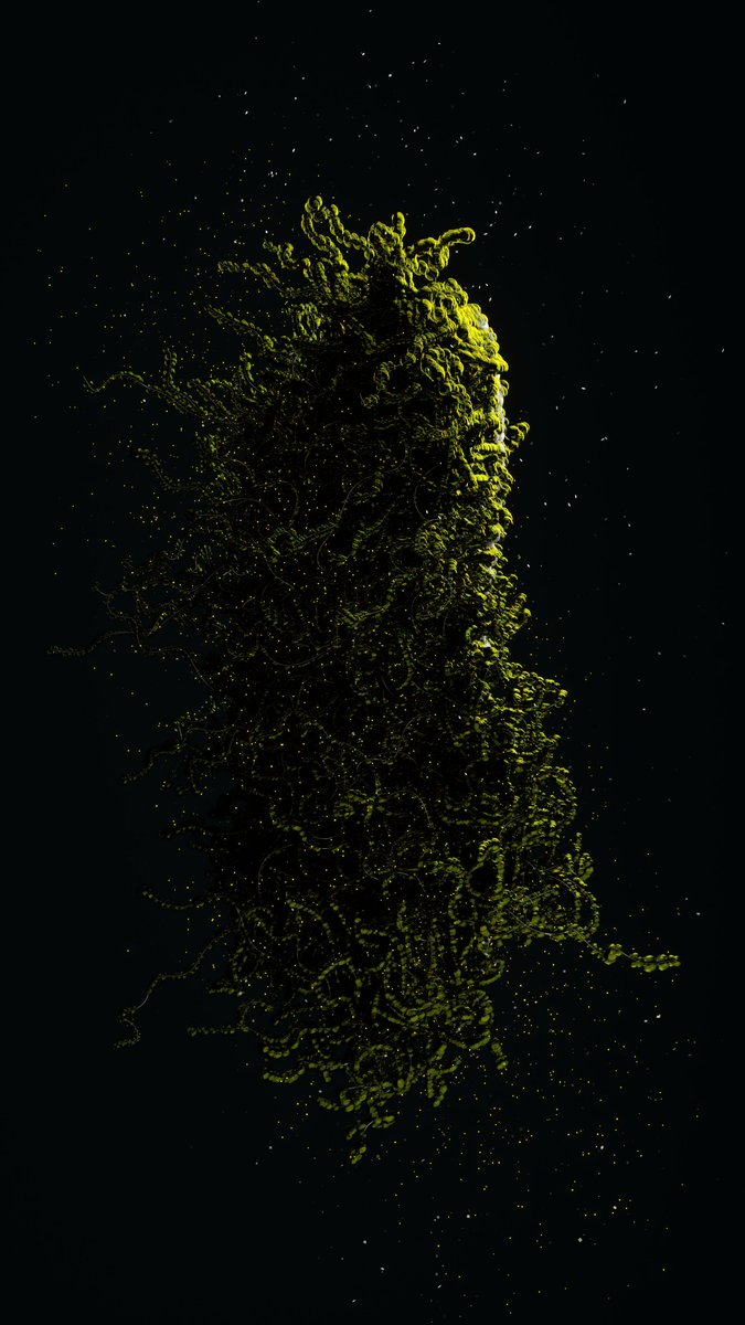 CesarePerniola's tweet photo. [23-02-26] - Braccobaldi Virus
Download free C4D (Octane) Project File here: https://t.co/MqOHTKxQKm
.
.
.
#studioxs #cesareperniola #virus #yellow #neon #bacteria #microscope #octanerender #cinema4d #C4D #worldcreator #mdcommunity #mgcollective #c4dart #3dart #digitalart https://t.co/XiifMzrK0G