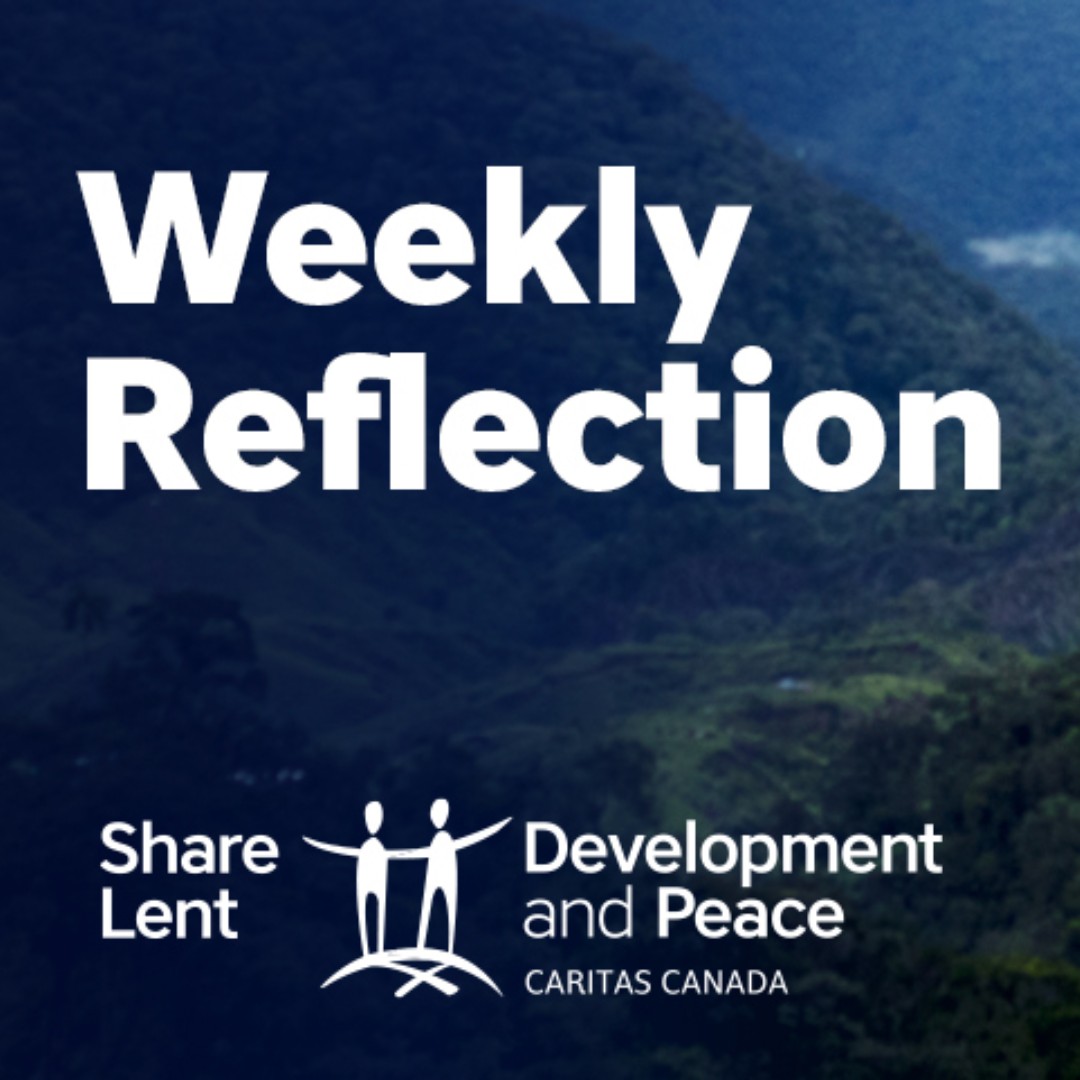 DevPeace's tweet image. On this First Sunday of #Lent, read our weekly reflection that links the Gospel readings to the work of Development and Peace - Caritas Canada.
#ShareLent #CreateHope #StandfortheLand
👉bit.ly/3YZrnfY
