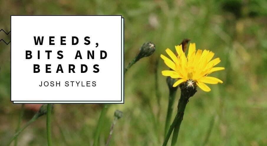 Joshua Styles tweet media