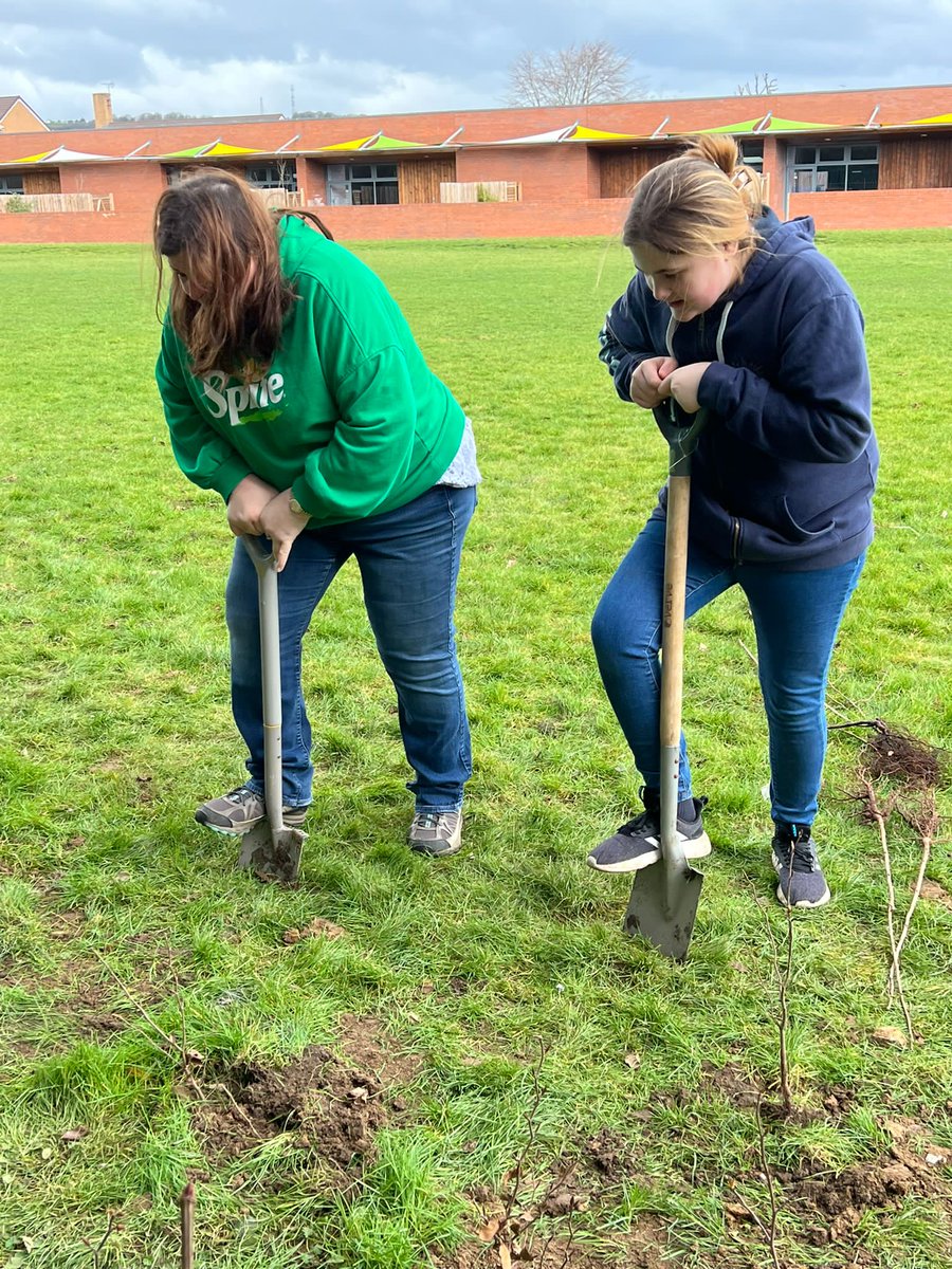 More photos from the Redwood fruiting hedge planting including the Principal of the Academy, Alun Griffiths Operatives, Charles Dickens Orchards and friends and Tree Wardens from Gosport, Fareham and Havant, Richard from the Tree Council manages the Schools Orchard Project