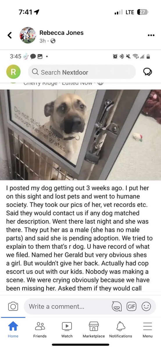 aimeeh11's tweet photo. @NEHumaneSociety how could you do this to my friend and her family https://t.co/t7IfowFLCq
