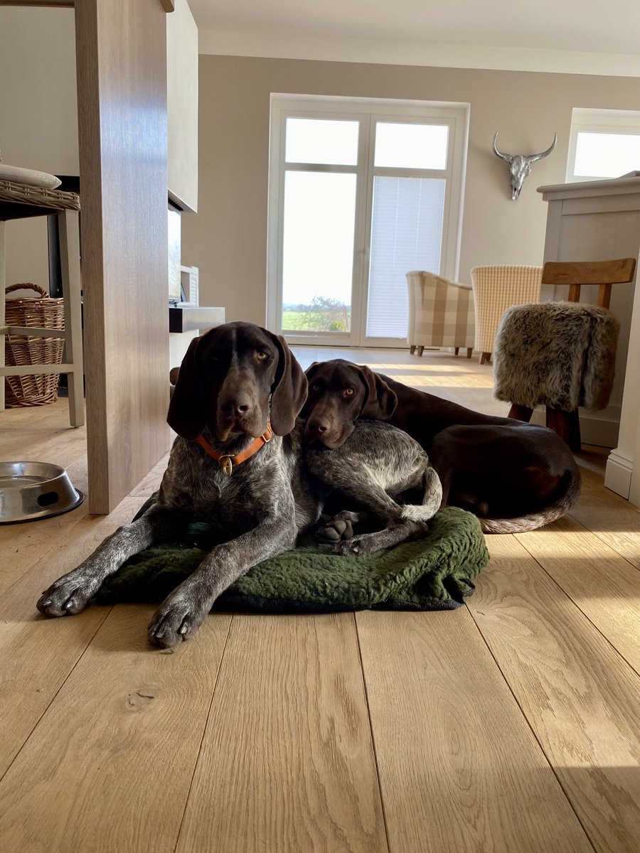 digprof's tweet image. Sisters #DieHellenDinge