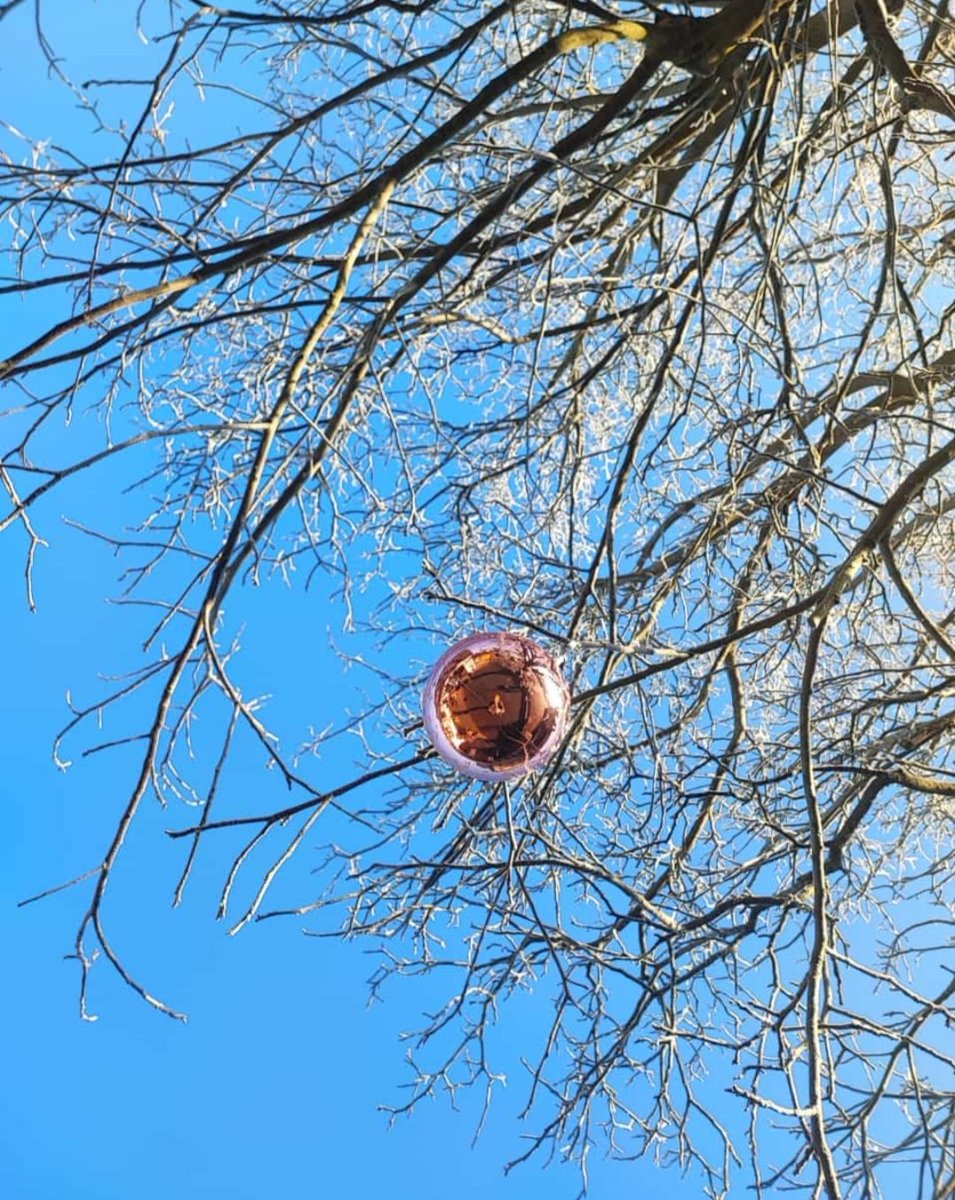 ...vergessen Weihnachtskugel...sie darf heute bei dem Schnee noch mal glänzen...schönen Sonntag euch...🤗❄️❄️🙋🏼‍♀️🌲