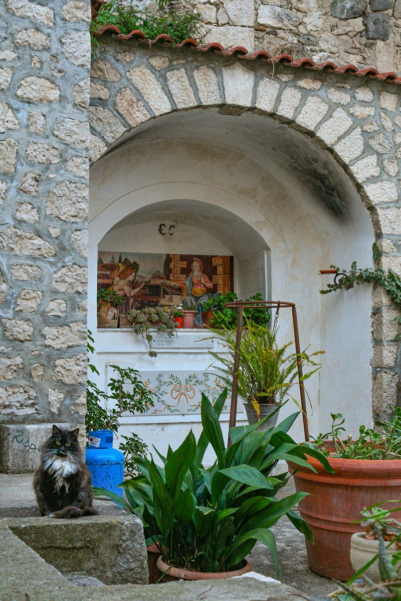 borgoreporter's tweet photo. Gatti e santi #gatti #photography #cats #borghi #Italy https://t.co/vHXQybmR37