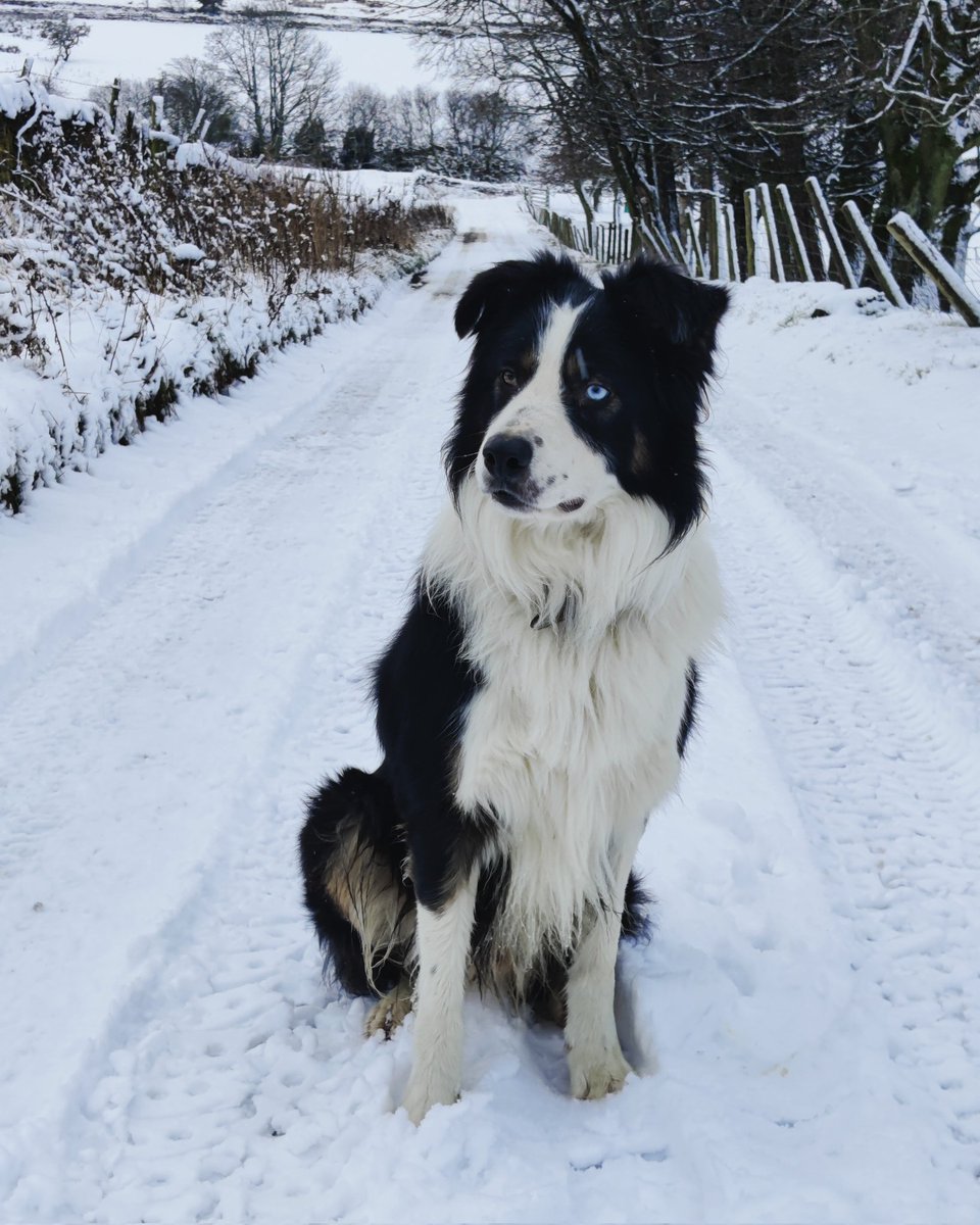 HarryPricex's tweet image. 