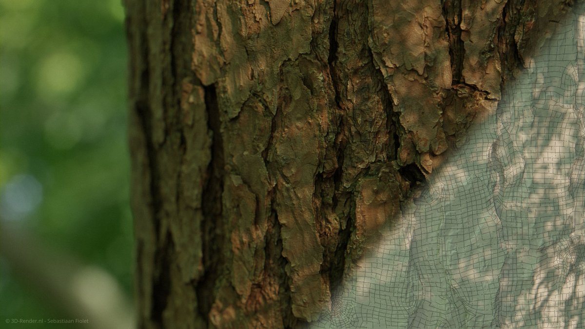 3D_Render_nl's tweet photo. It's finally here! My New FREE asset: Pinus Sylvestris Bark.

3D scanned (Photogrammetry)
12K textures and high poly model makes sure you can create extreme close-up renders!

Download here: https://t.co/6SVBFYGNzY

#3D #3dart #b3d  #blender  #photogrammetry  #free #cc0 #pbr #rtx https://t.co/wVNqqAhxu3